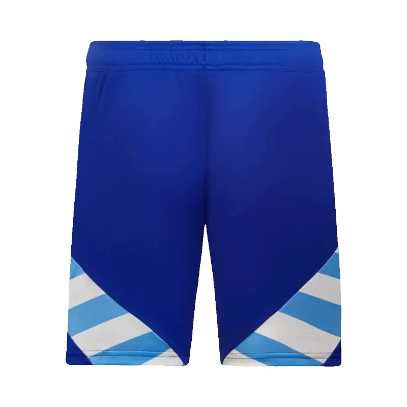Argentina Away Jerseys Kit 2024 Go Game Wear